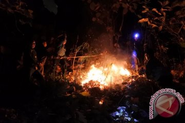 Api lalap hutan seluas 10 hektare di Bandung