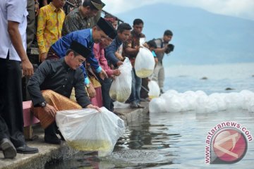 KKP targetkan penyediaan 155 miliar benih ikan