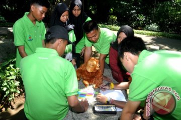 Hukuman belum cukup untuk lindungi orangutan, perlu apalagi? 