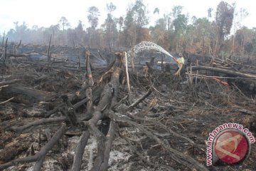 Heli pemadam masih beroperasi di Aceh Barat