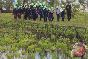 Ekowisata mangrove Muara Gembong dikembangkan PJB