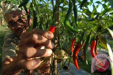 Inflasi November 0,2 persen, kenaikan bahan makanan pemicunya