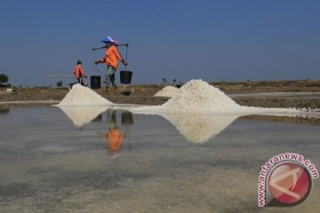 Pabrik garam Bantul stop operasi gara-gara kemarau basah