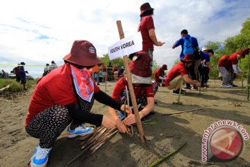 1.000 bibit pinus ditanam di Hutan Sikenci Wonosobo