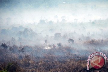 Satelit deteksi lima titik panas di Aceh