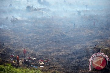 Satgas Karhutla padamkan api di Jambi