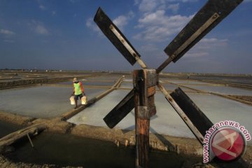 Kiara mencatat Indonesia impor garam sejak 1990