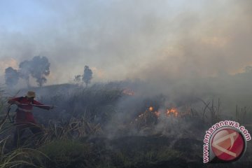 BNPB perkirakan potensi Karhutla akan terus meningkat