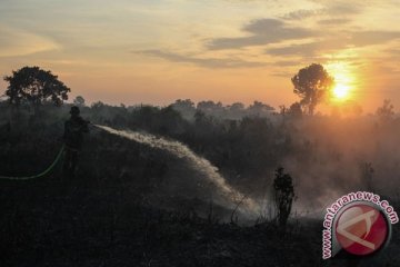 Tiga juta hektare lahan gambut Riau rusak