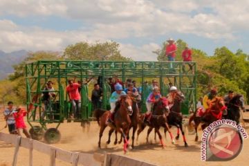 PACUAN KUDA DI TANJUNG BASIAN