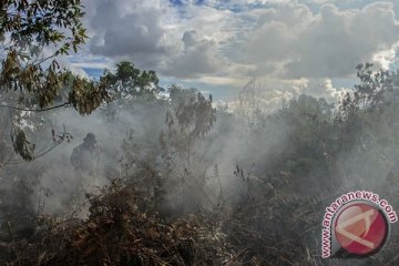 BMKG deteksi lonjakan titik panas di Riau