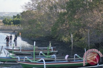 Hari Pohon Sintalaras UNM tanam 2.000 mangrove