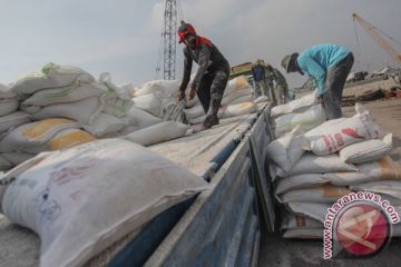 Indonesia perlu cari sumber gandum baru imbas konflik Rusia-Ukraina