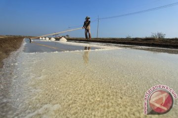 Produksi sementara PT Garam 37.000 ton