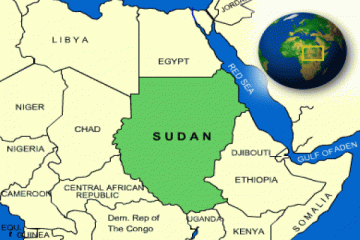 Sisi: KTT Afrika beri waktu lebih lama untuk reformasi Sudan