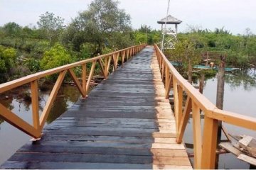 UI kembangkan wisata mangrove di Nusakambangan