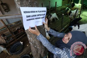 Kementan imbau daging kurban penuhi aspek "asuh"