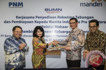 Bank Mandiri kucurkan Rp300 miliar untuk PNM