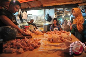 Kenaikan Harga Ayam