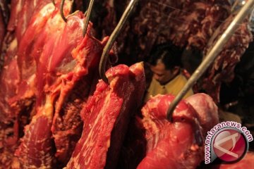 Berdikari akan impor 10 ribu ton daging sapi Brazil