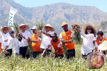 BNI salurkan KUR ke petani bawang di Sembalun