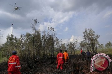 WWF pasang alat pendeteksi kebakaran di Jambi