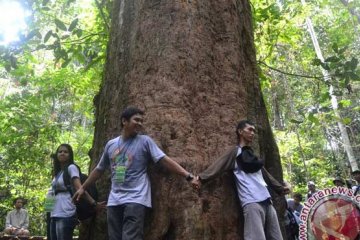 Bupati Kutai Timur dan komunitas lingkungan tanam pohon ulin