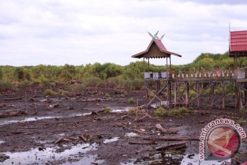 Kawasan Wisata Kereng Bangkirai