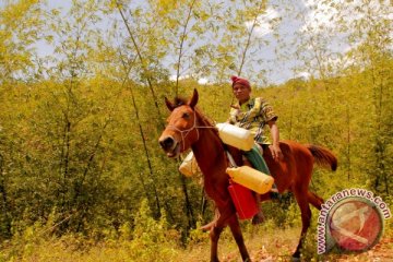 DARURAT KEKERINGAN NTT