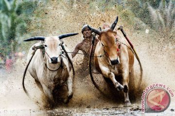 PAMERAN FOTO MINANG DI JERMAN