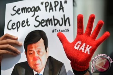 Pengamat: Setya Novanto harus ikuti proses hukum demi citra Golkar