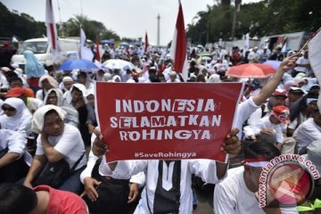 Peserta aksi Bela Rohingya padati Patung Kuda