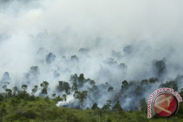 15 helikopter disiagakan cegah kebakaran lahan Sumsel