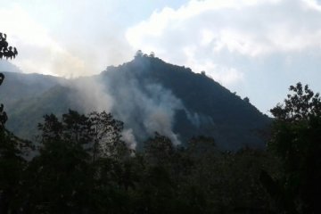 Hutan wisata Gunung Guntur di Garut terbakar
