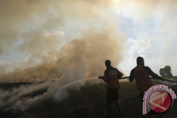 BPBD Sumsel mulai lakukan pemantauan daerah rawan kebakaran hutan