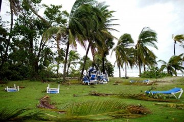 Badai Irma rusak tanaman tebu di Kuba