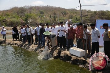 Petambak Lombok berpenghasilan Rp20 juta per bulan