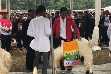 Presiden pamerkan hasil ternak