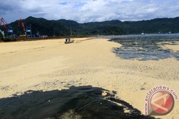 Hoaks! Video 2.500 ton minyak goreng tumpah di laut