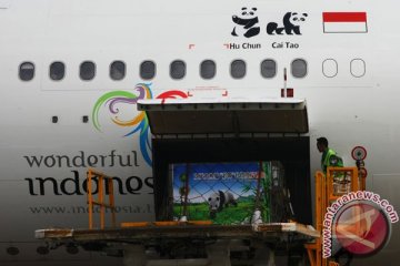 Garuda Indonesia buka pelayanan kargo di Bali