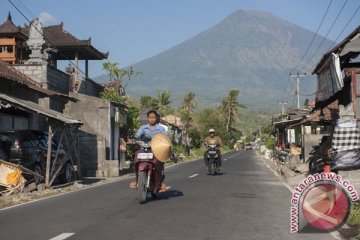 BNPB percepat evakuasi ternak pengungsi Gunung Agung