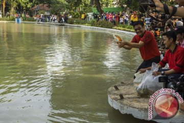 Djarot tebar bibit ikan di Taman Situ Lembang
