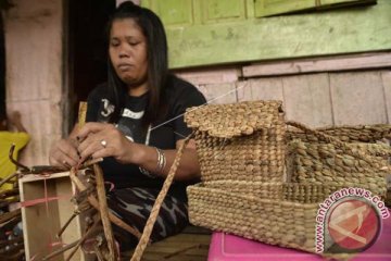 MEMANFAATKAN TANAMAN ECENG GONDOK