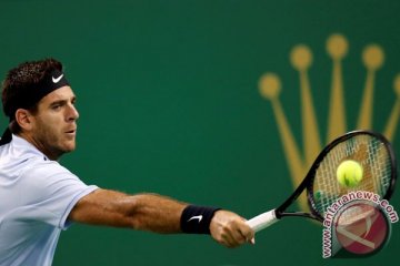 Del Potro melangkah ke delapan besar Paris Masters