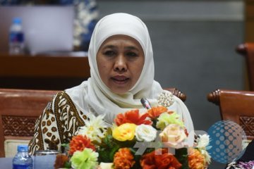 Menteri Sosial dorong diversifikasi profesi santriwati