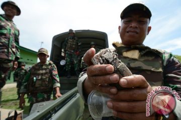 Denpal Palu musnahkan 525 butir granat Korea