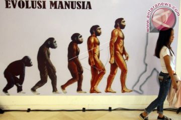 Pameran Museum Manusia Purba Sangiran