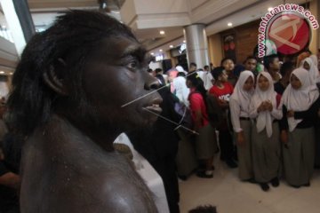 Pameran Museum Manusia Purba Sangiran