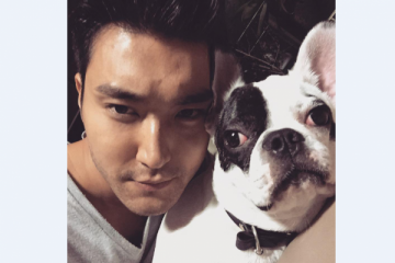 Siwon Super Junior minta maaf soal kematian tetangga yang libatkan anjingnya