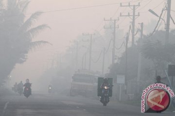 Delhi tutup sekolah akibat kabut asap